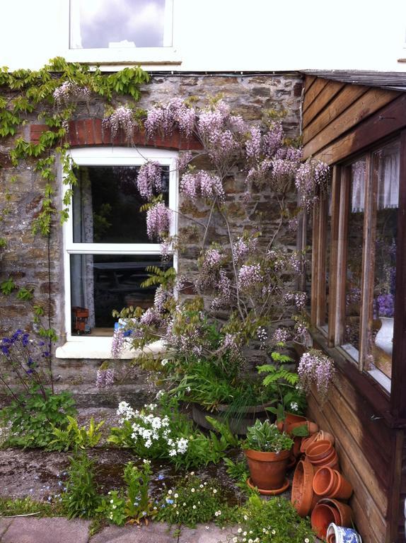 Vine Cottage Penpillick Luaran gambar