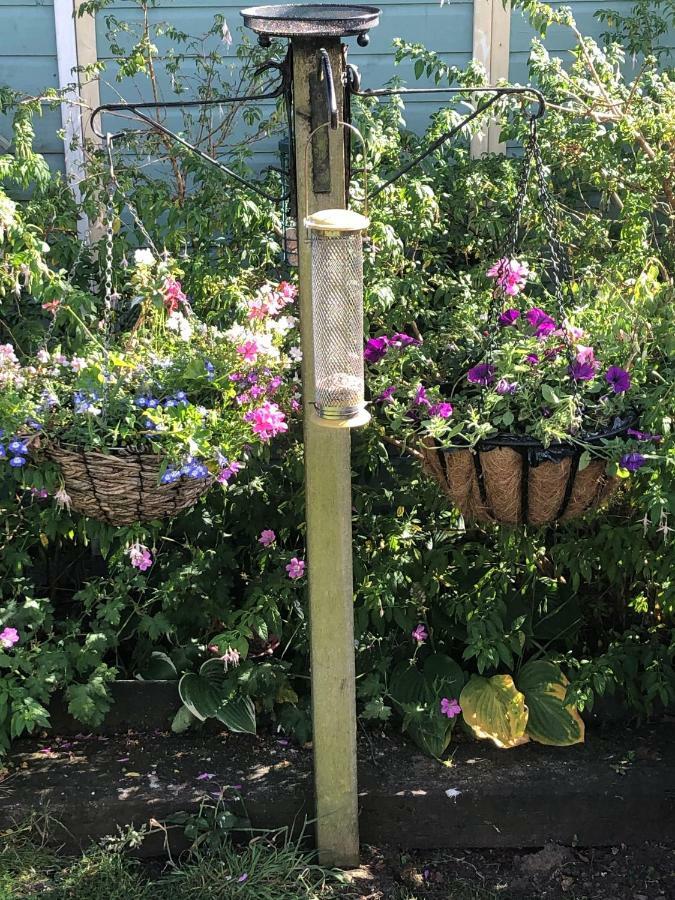 Vine Cottage Penpillick Luaran gambar