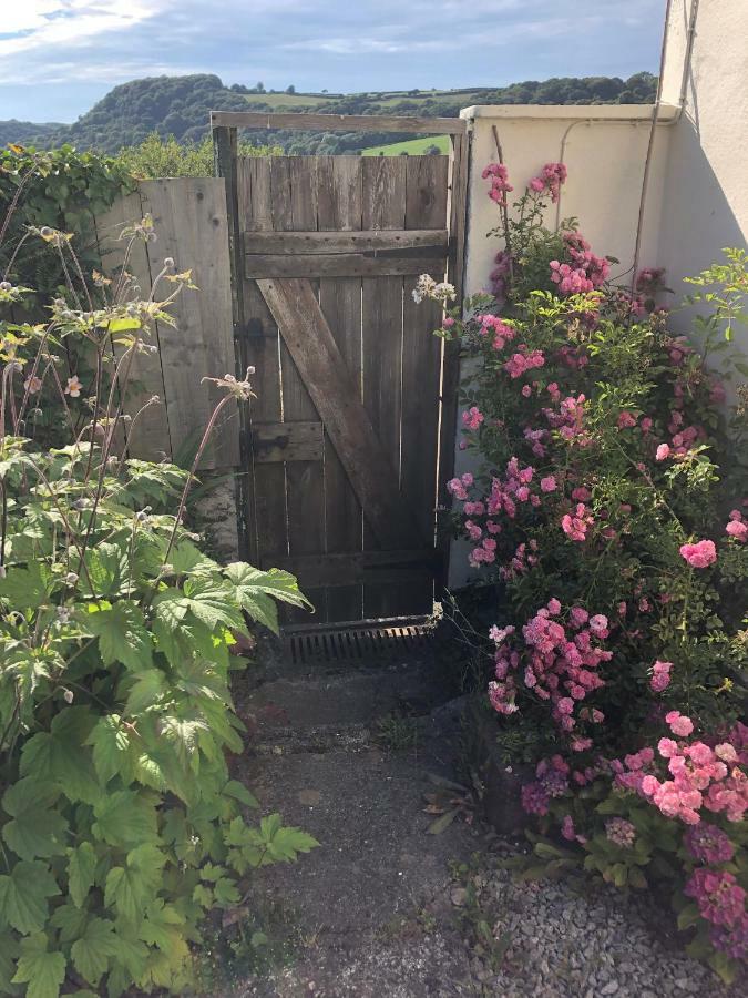Vine Cottage Penpillick Luaran gambar